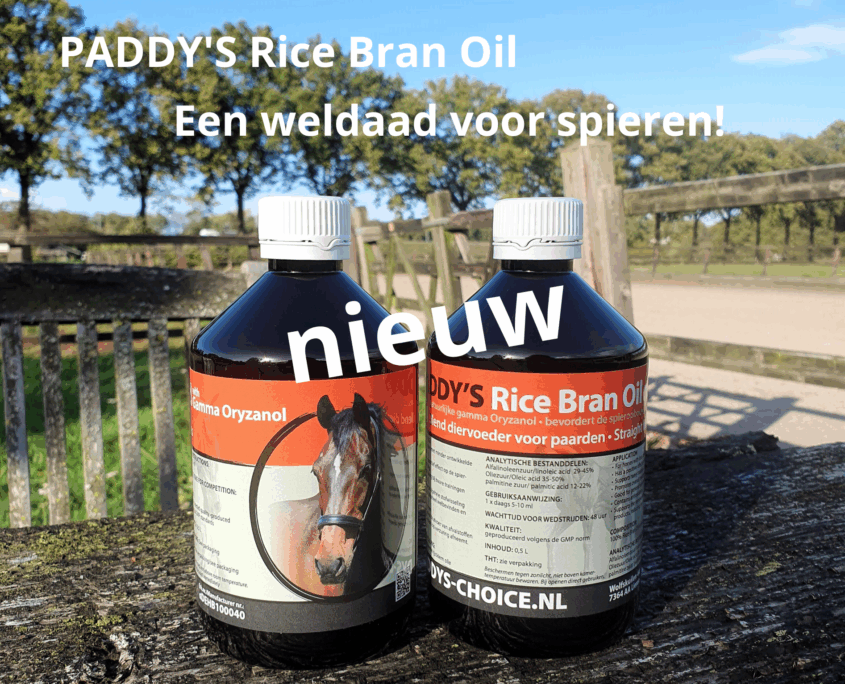 Paddy's Rice Bran Oil (1)